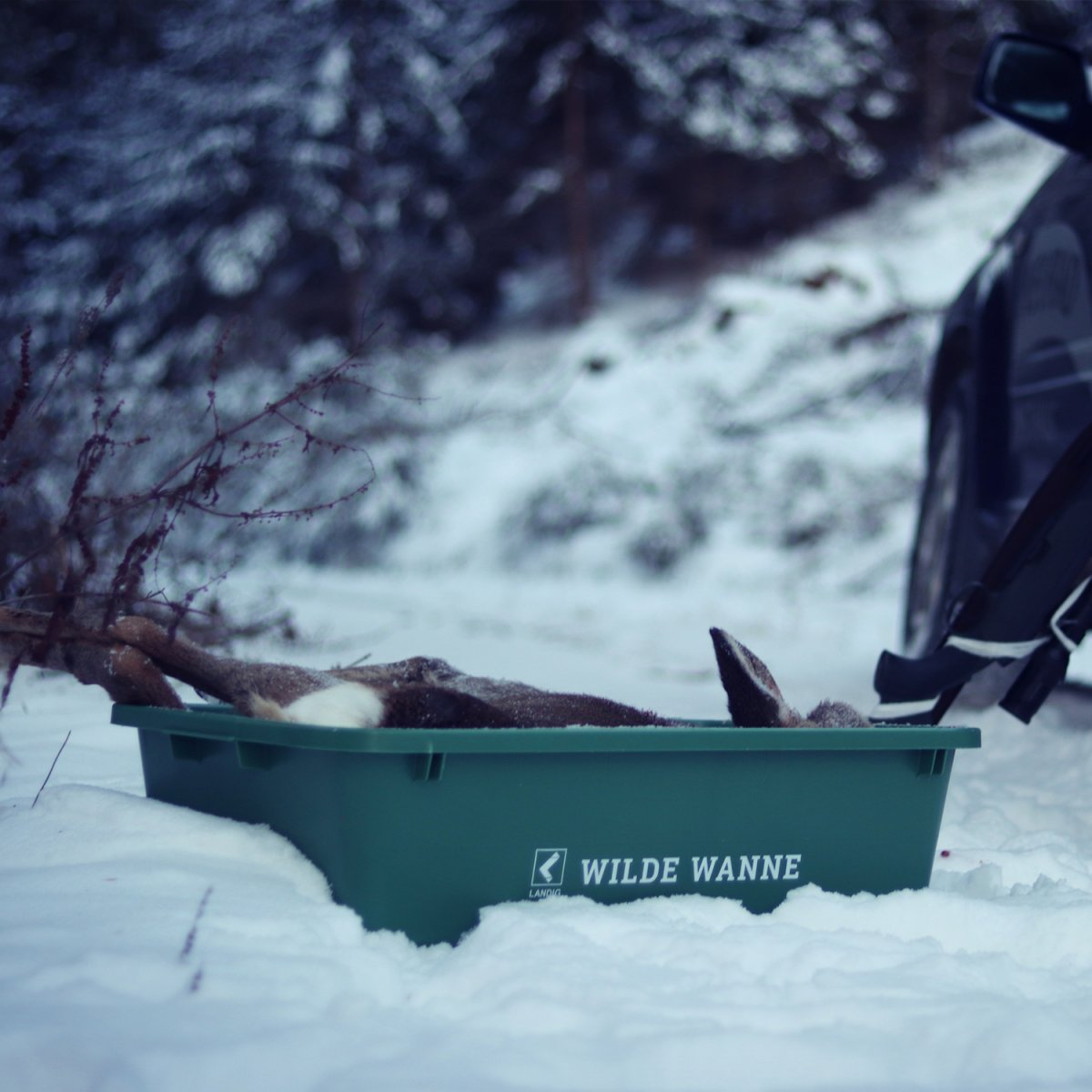 Container - “Wilde Wanne” Landig