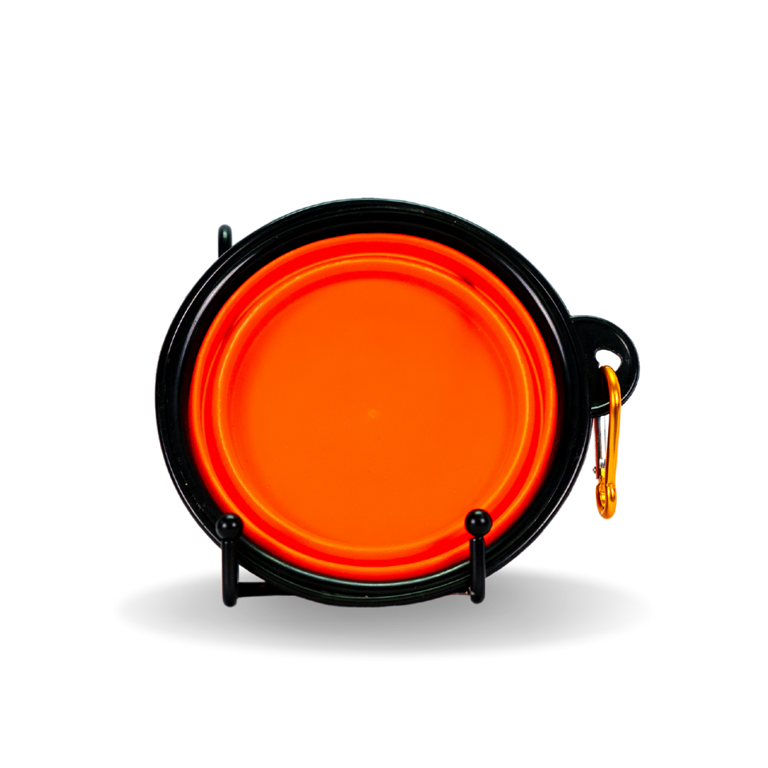 Bebedero de Perro Portátil YWH