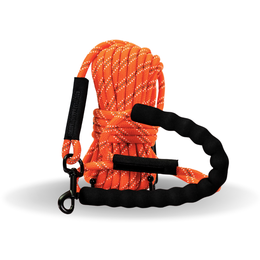 Dog Pack - 10m Leash + Toy + Collar + Water Fountain + Car Cover