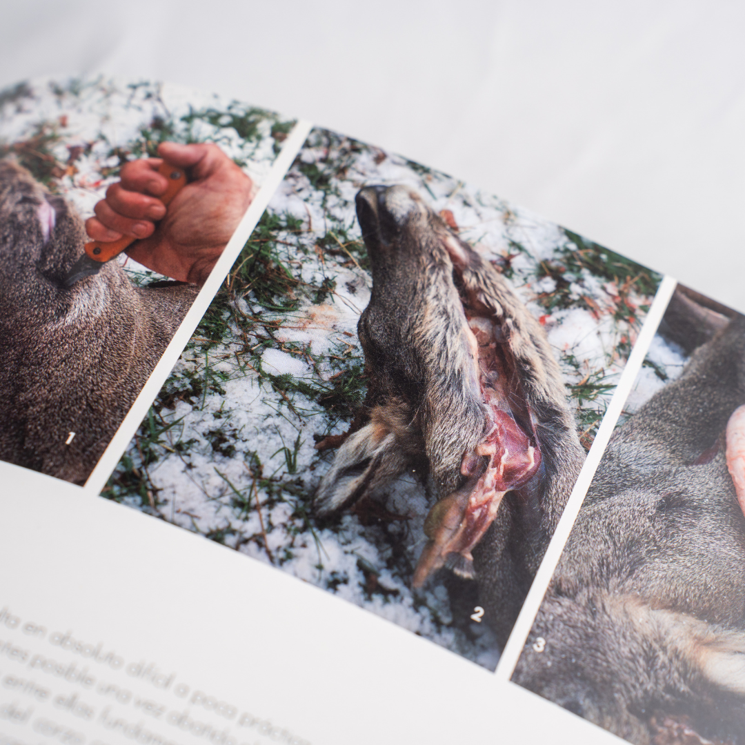 El corzo, del campo a la mesa | Pablo Ortega