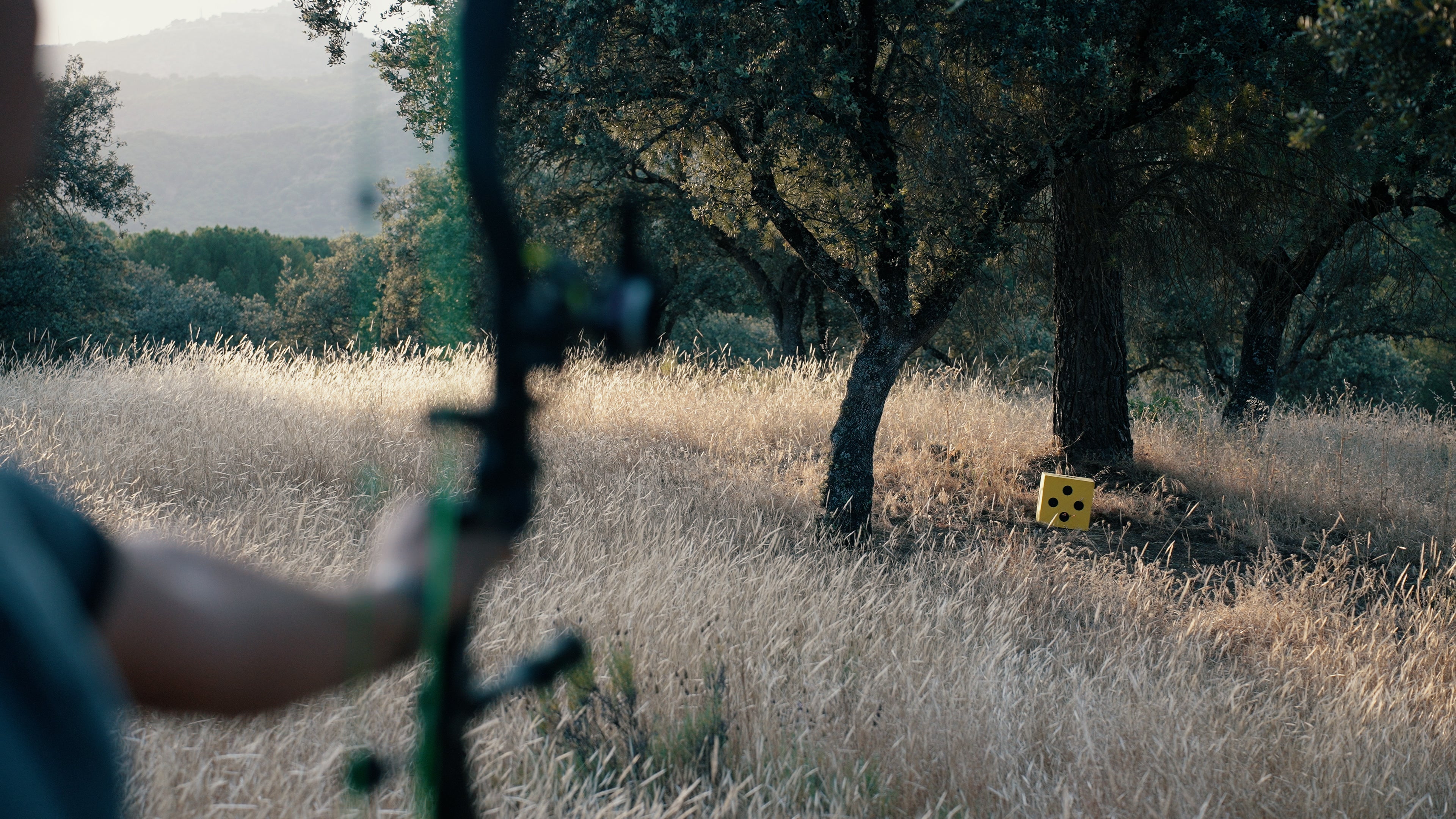 Replacement for Dartboards (10″) (14″)