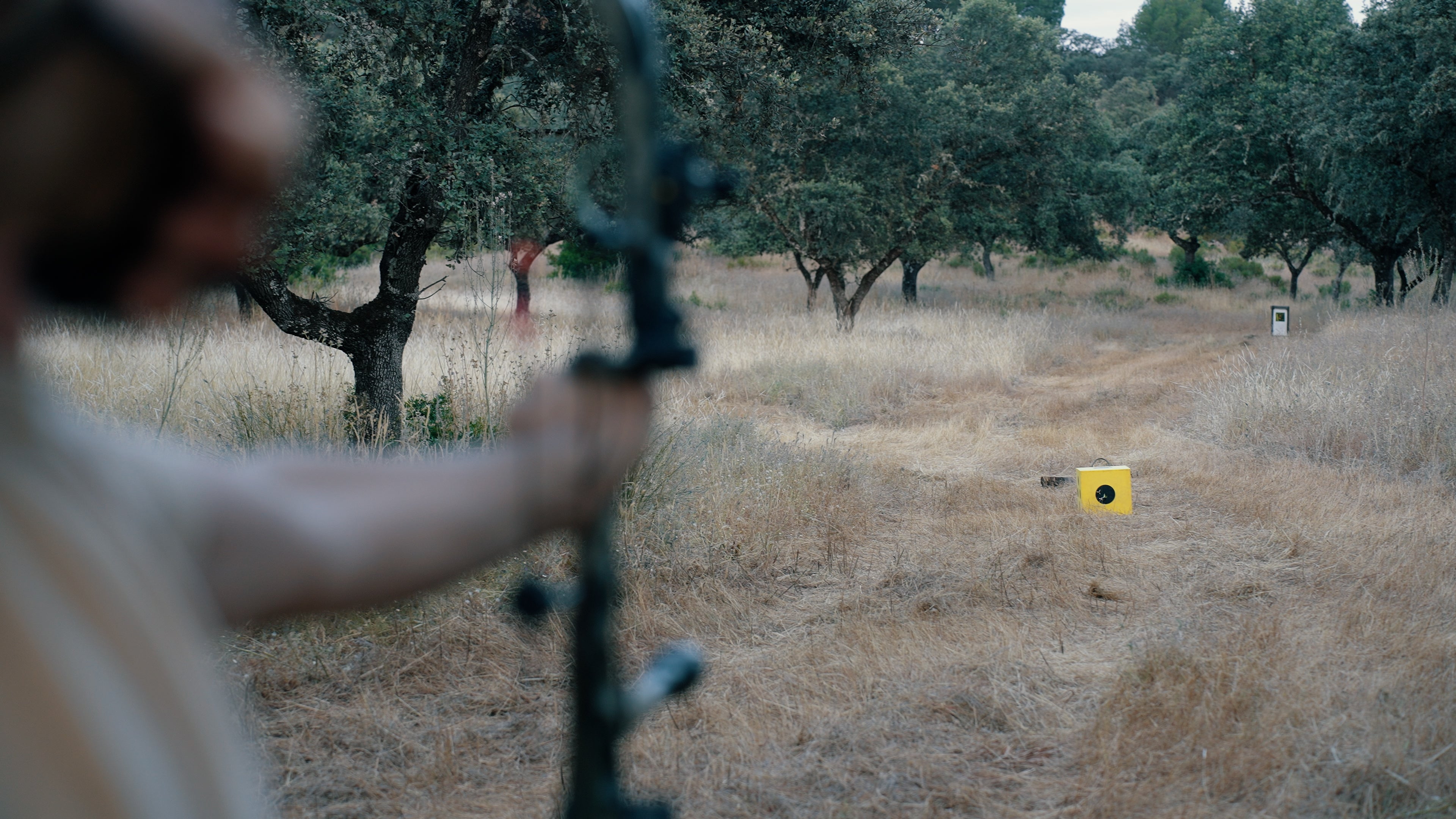 SQUARE 5 CORE XL TARGET (52″)