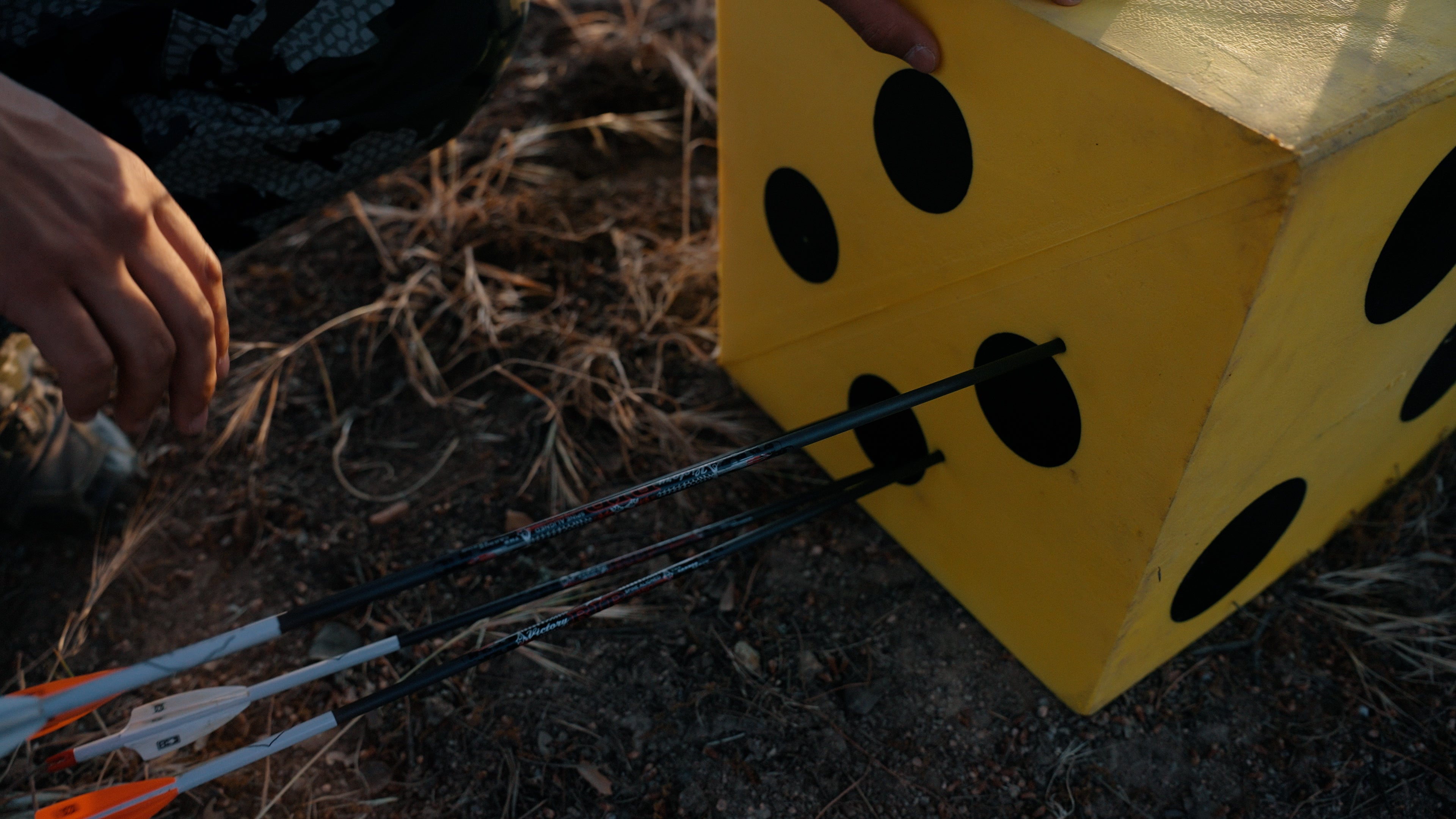 Recambio para Dianas (10″) (14″)