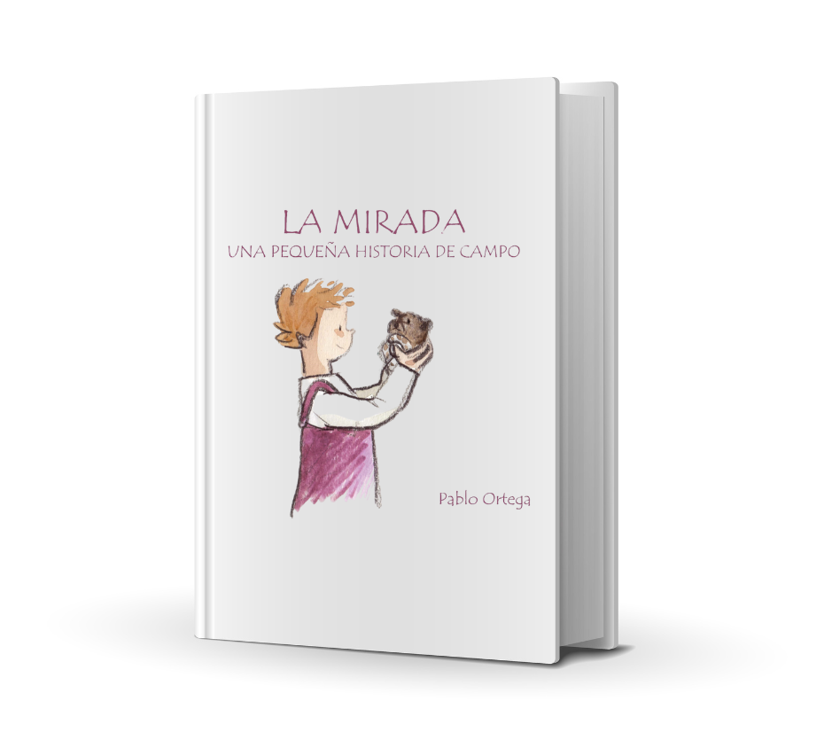 CUENTO/ LA MIRADA, UNA PEQUEÑA HISTORIA DE CAMPO