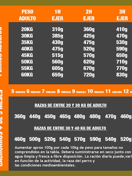 WILD HIGH PERFORMANCE