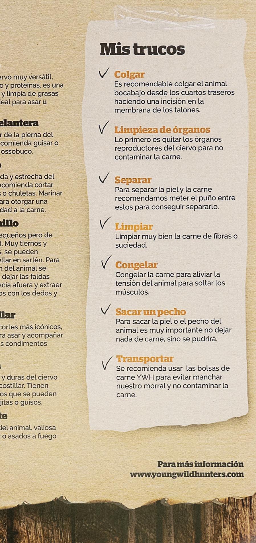 Lámina Despiece de Ciervo YWH - Young Wild Hunters