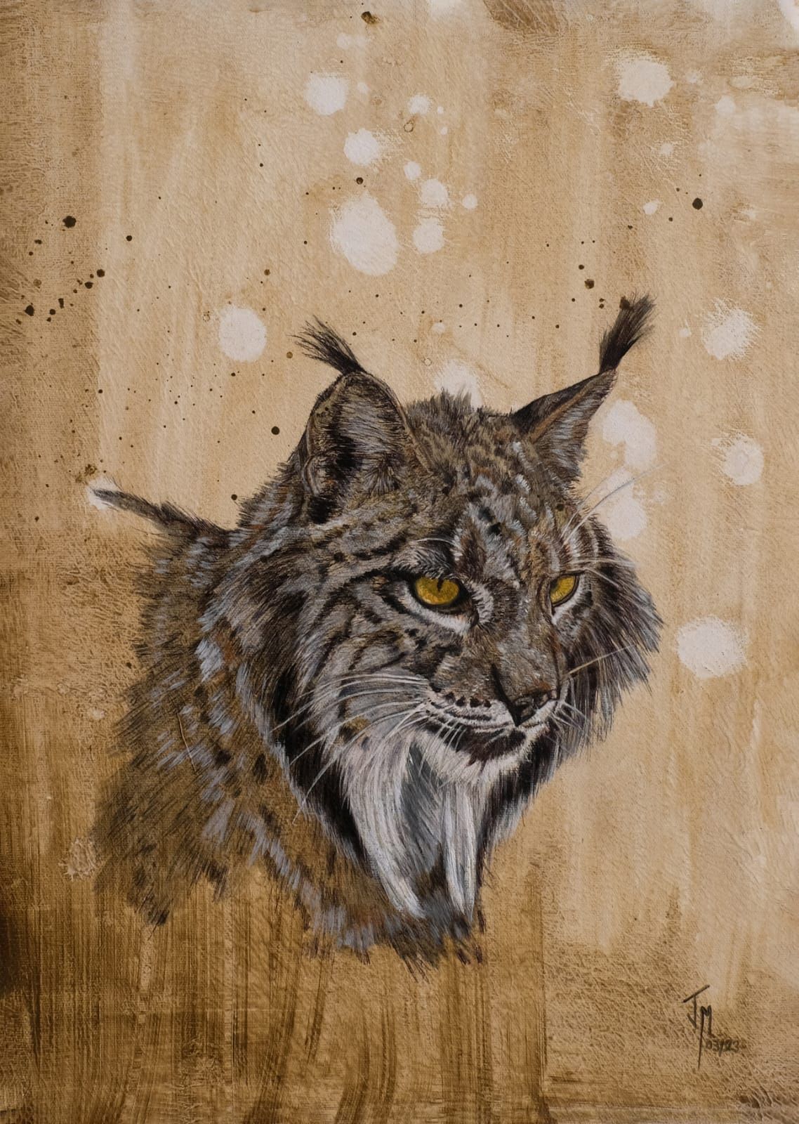 Iberian lynx (reproduction) - Jorge Manzanares