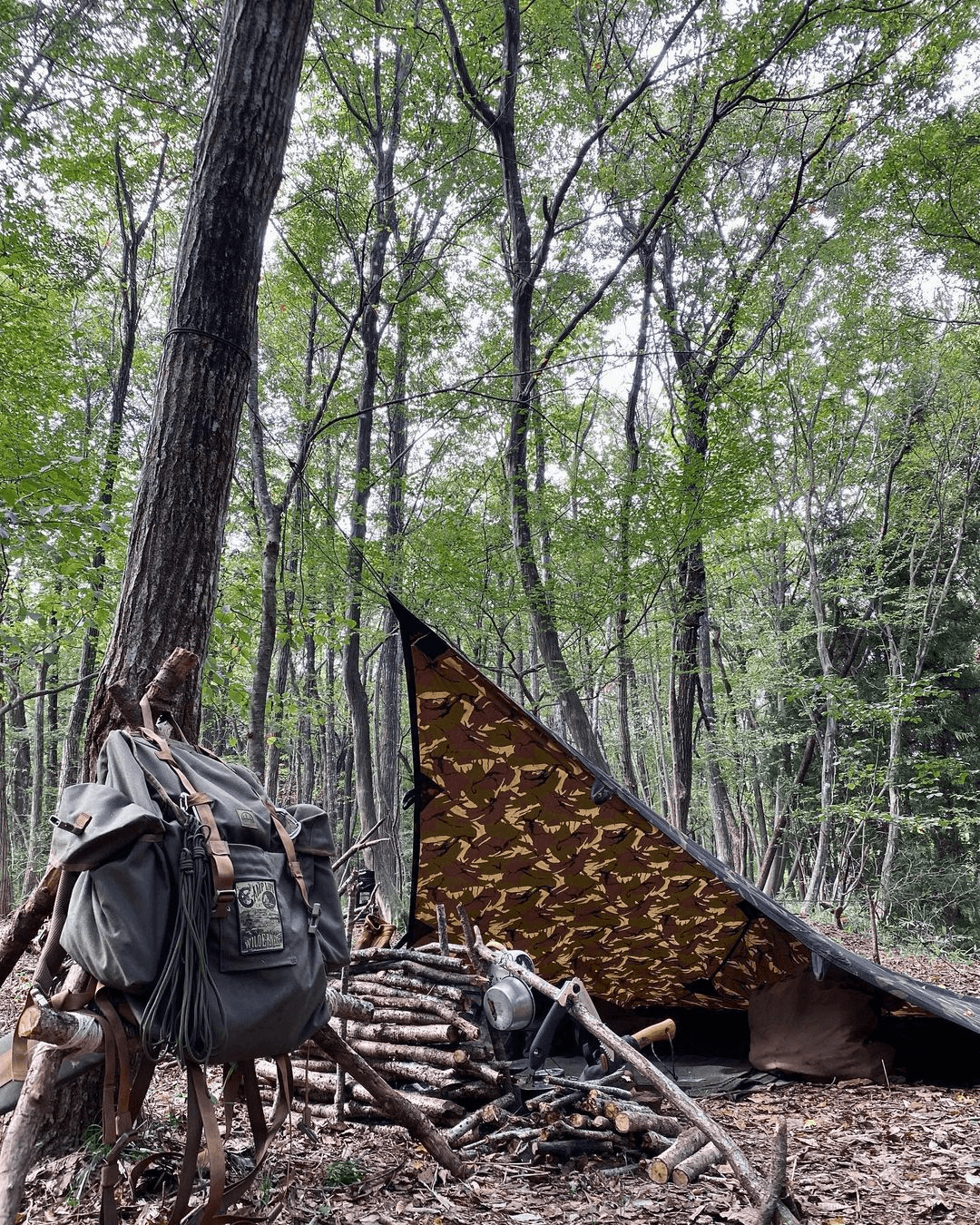 Lona Oilskin Prepper Camo de edición limitada - Young Wild Hunters