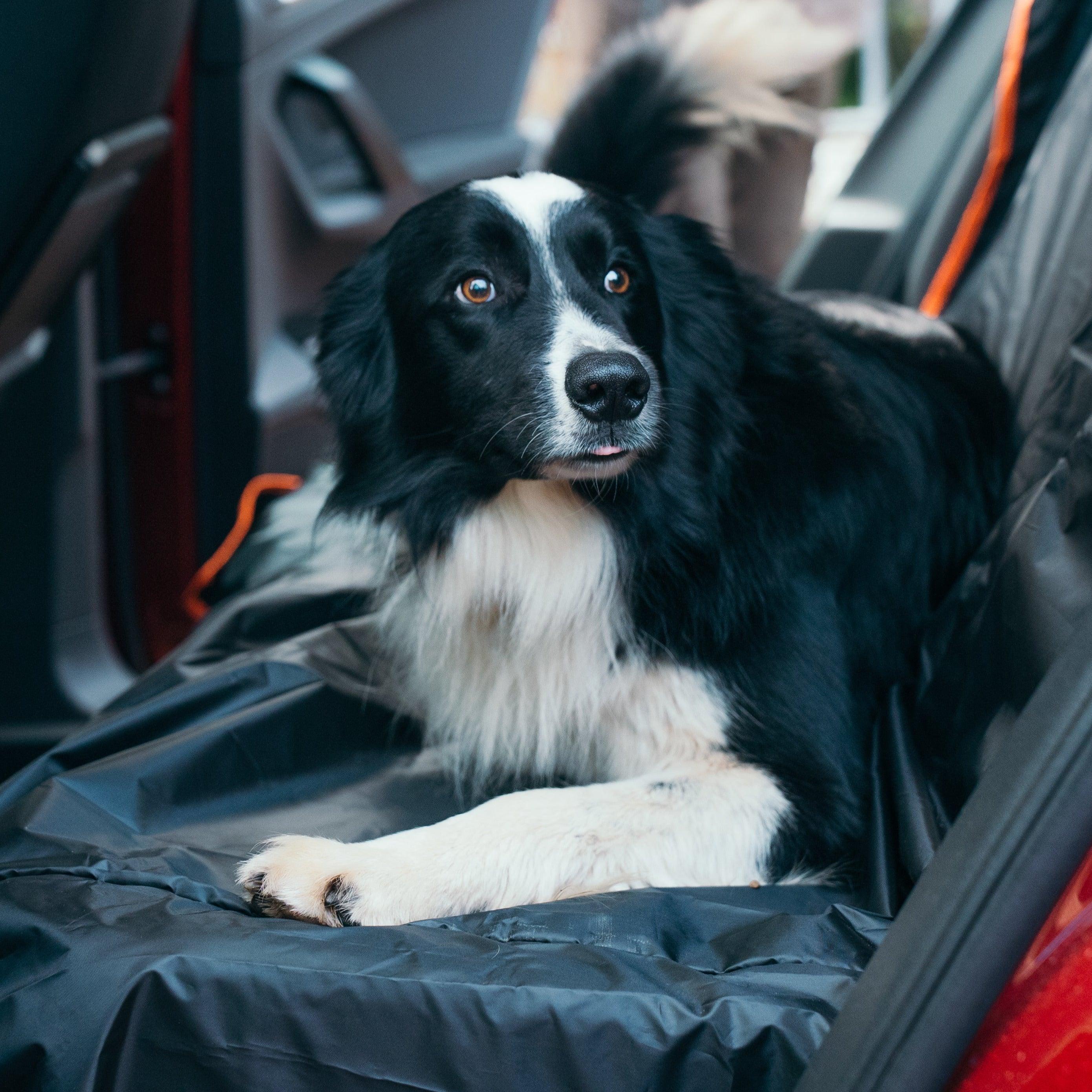 Manta Protectora Coche YWH - Young Wild Hunters