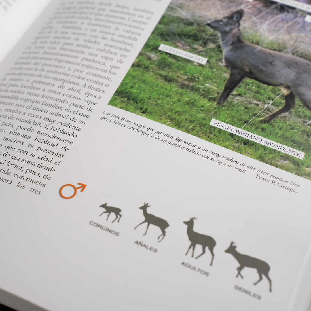 Más cosas de corzos: Por un necesario cambio de rumbo Pablo Ortega