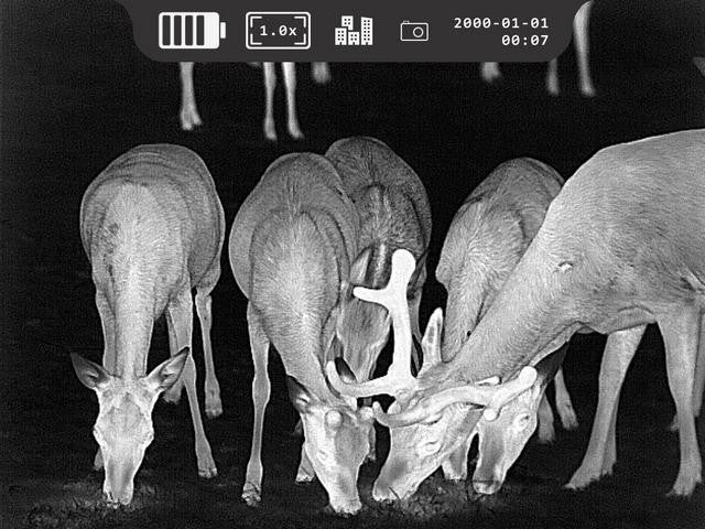 Monocular térmico acoplable Heimdall Fokus X350