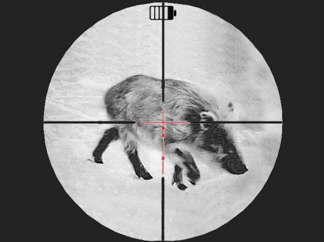 Monocular térmico acoplable Heimdall Fokus X350