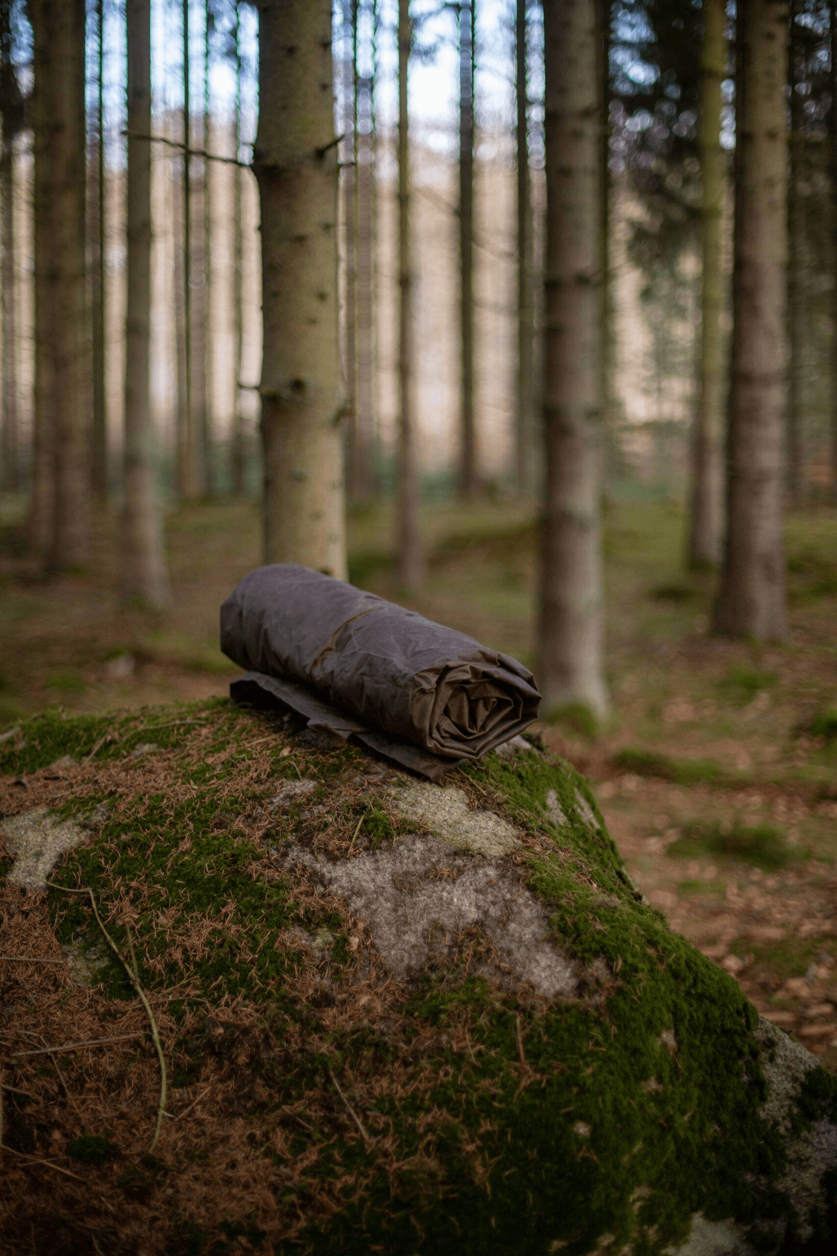 Paño De Lana y Hule Marrón - Young Wild Hunters