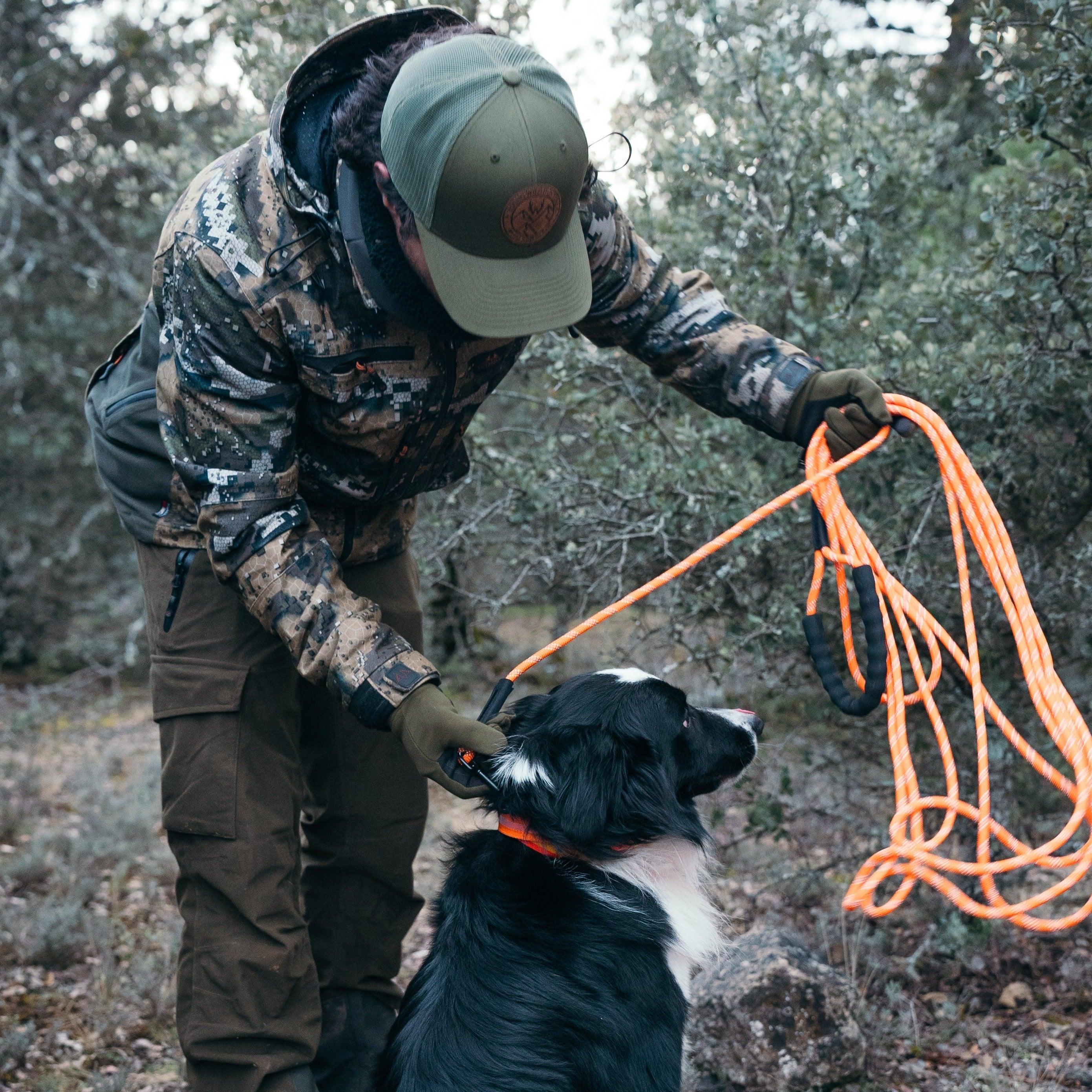 Pack Hamercan - Pienso + Pack Perro - Young Wild Hunters