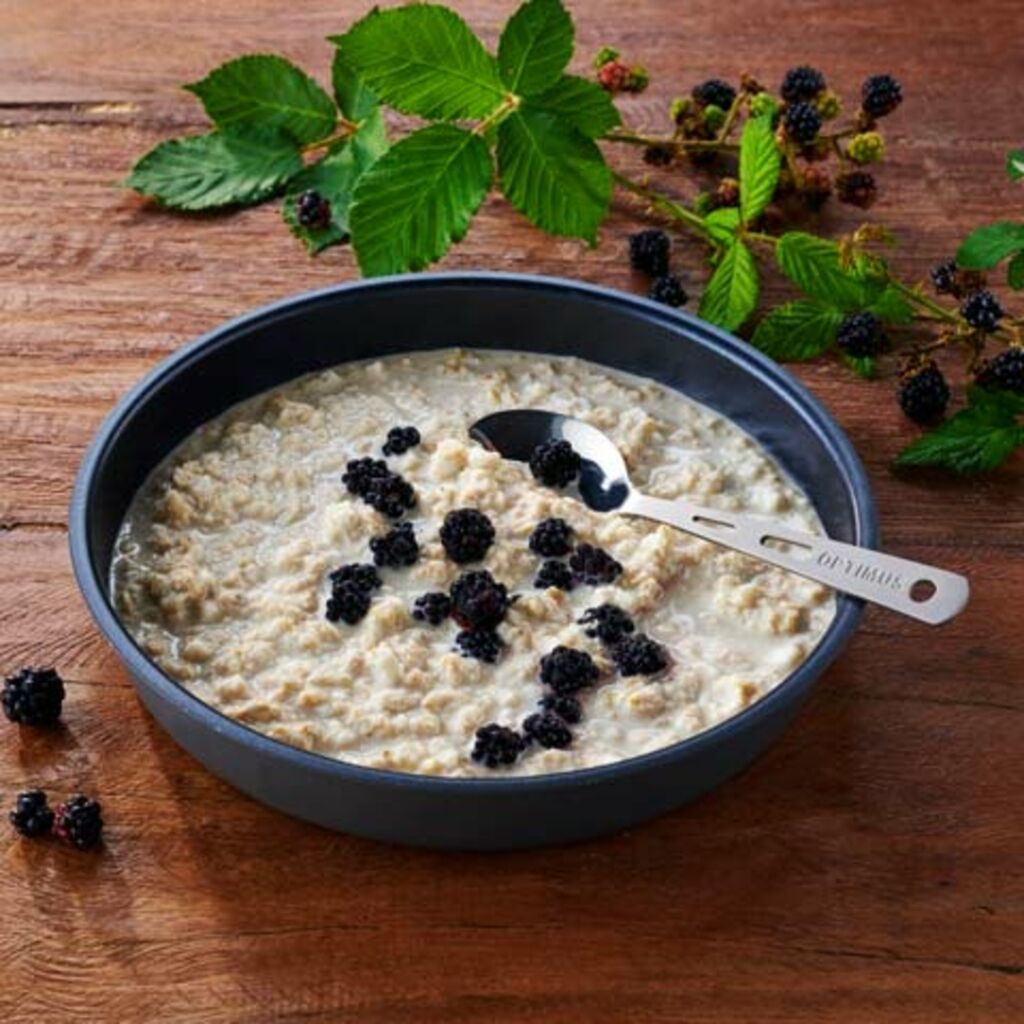 Trek'n Eat Porridge