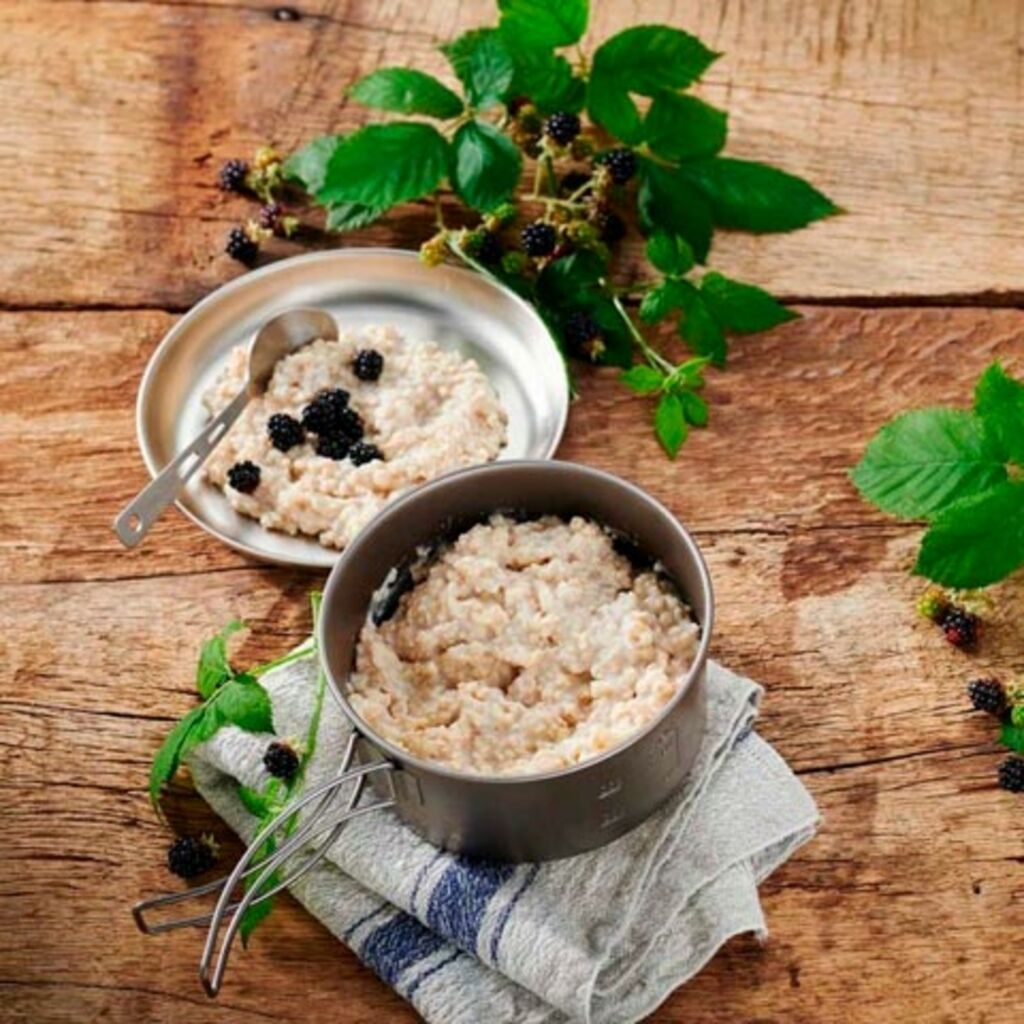 Trek'n Eat PS1000+ Apple Porridge