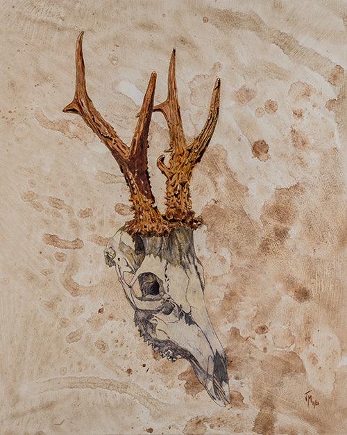 Cuadro de caza "Trofeo de Cráneo de Corzo"
