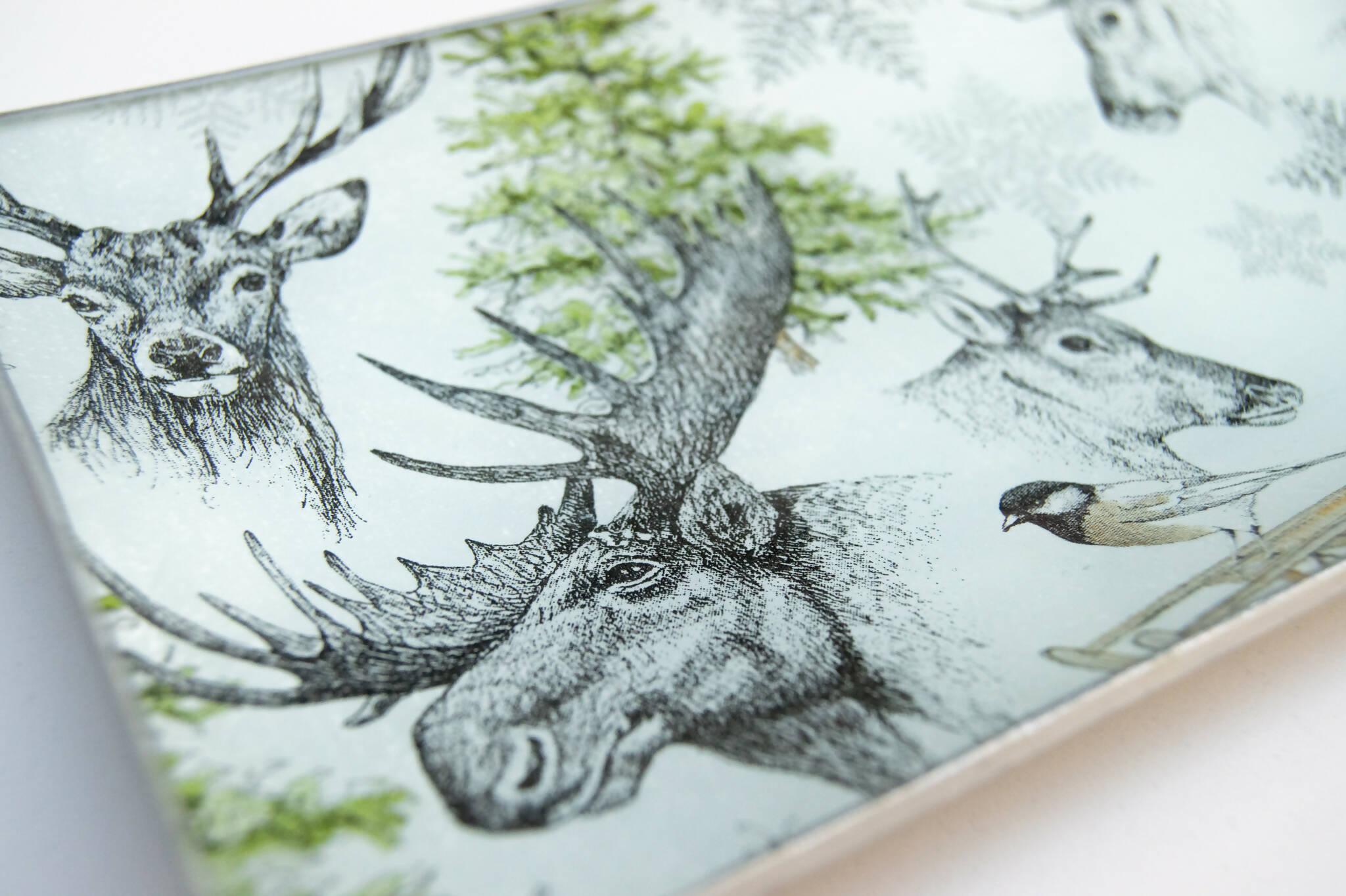 FRÍO SALVAJE Bandeja Tellerwelt - Young Wild Hunters