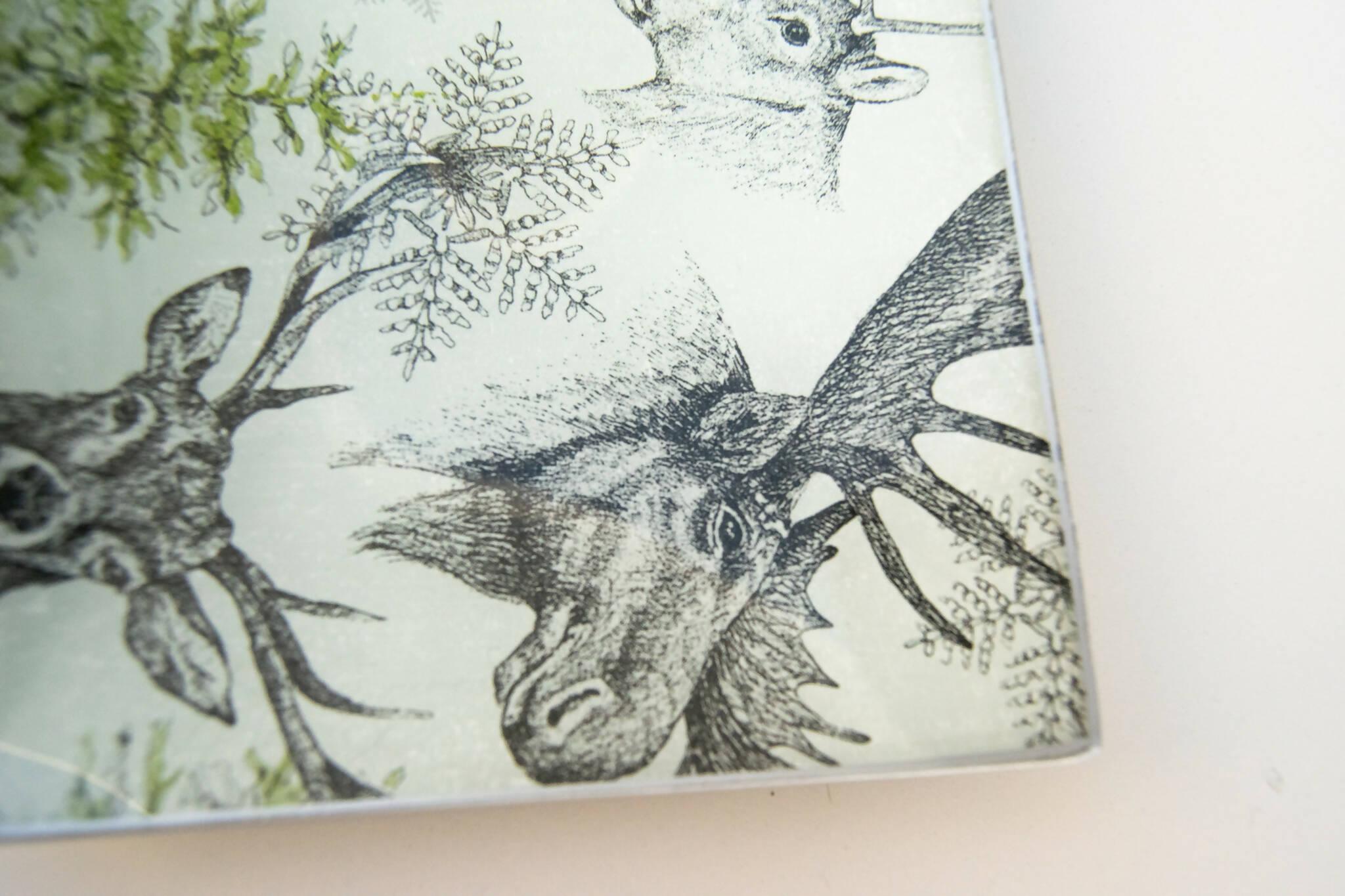 FRÍO SALVAJE Bandeja Tellerwelt - Young Wild Hunters