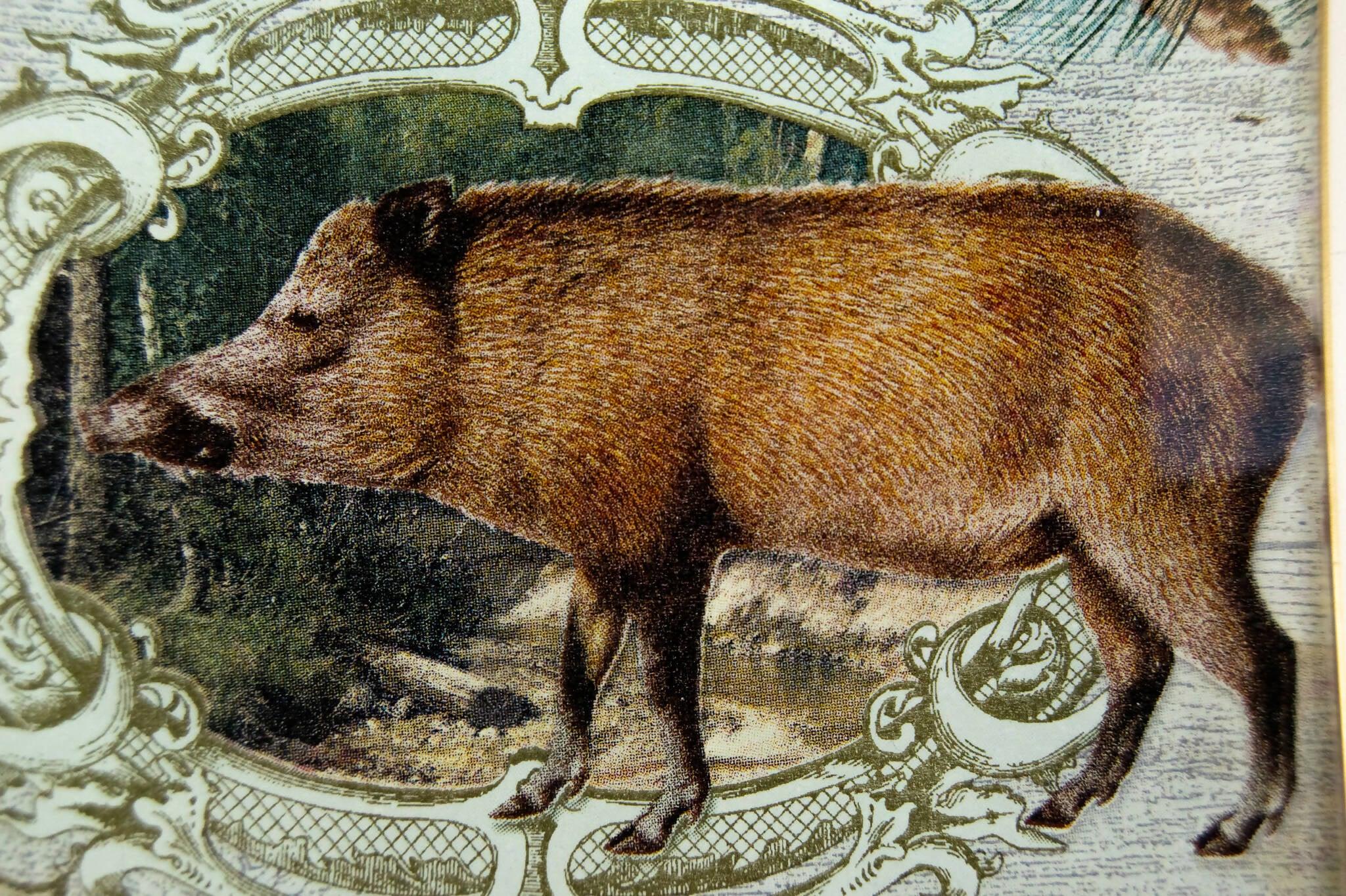 RETRATO SALVAJE Conjunto 4 piezas Tellerwelt - Young Wild Hunters