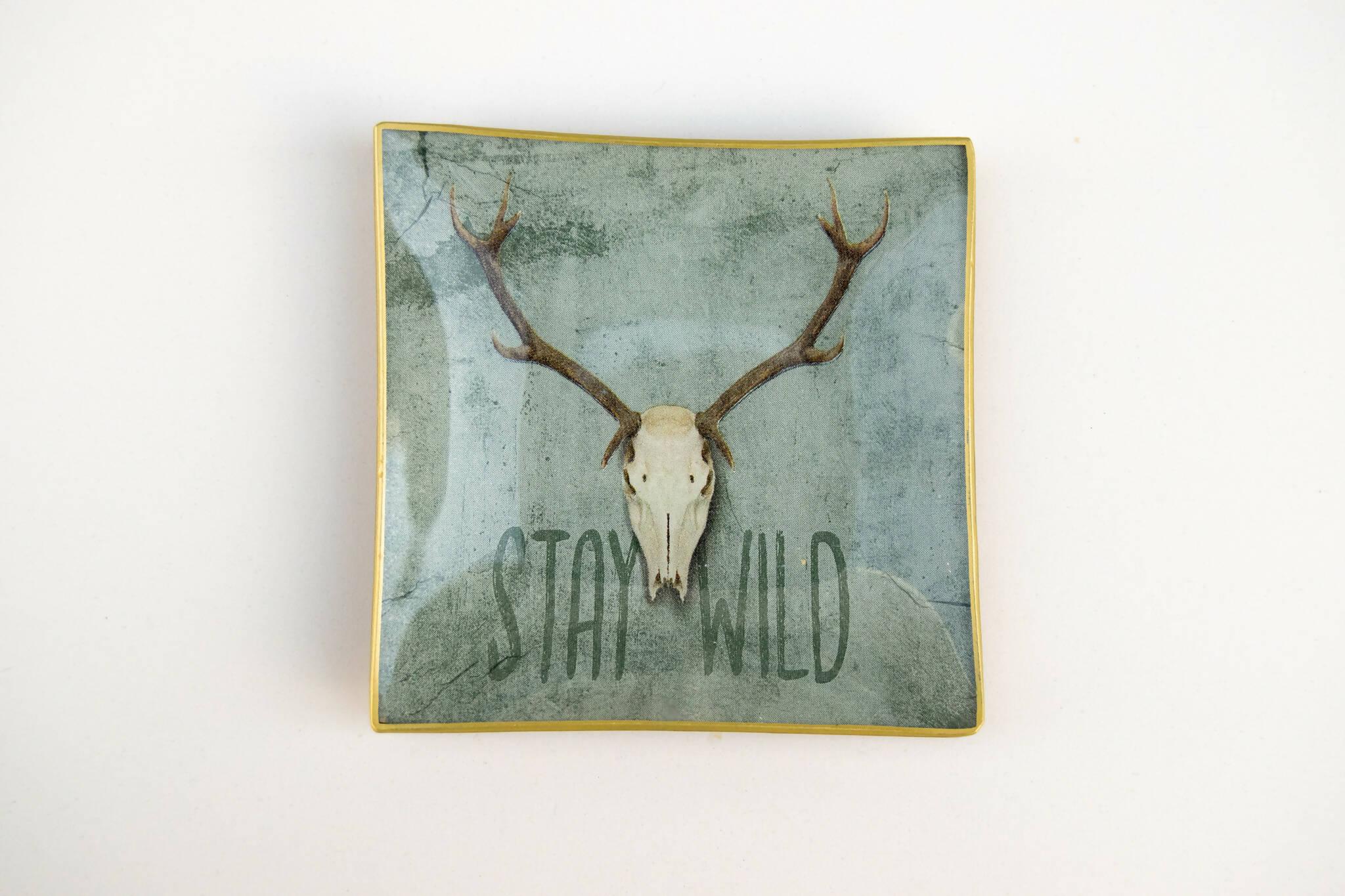 STAY WILD Conjunto 4 piezas Tellerwelt - Young Wild Hunters