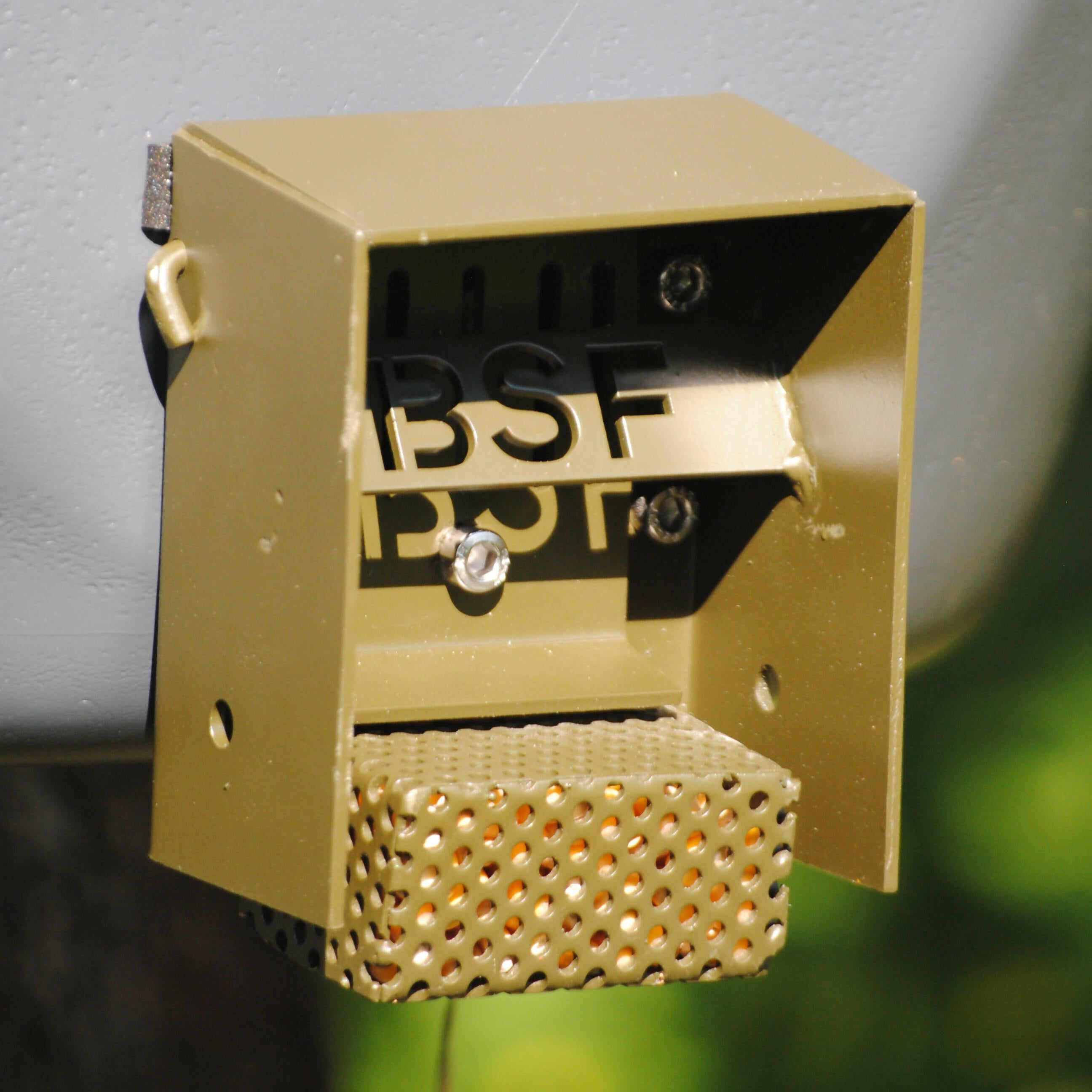 Trampilla BSF Yimi BSF - Young Wild Hunters