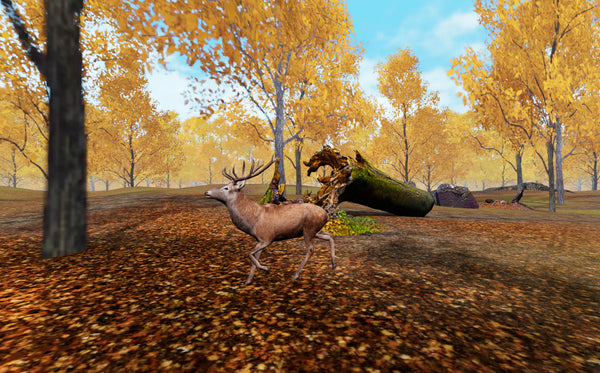 Autumn Stag