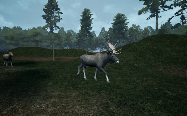 Nordic Moose