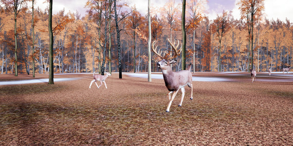 White Tail Deer Trail