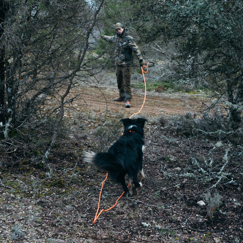 Correa Rastreo 10 metros YWH - Young Wild Hunters