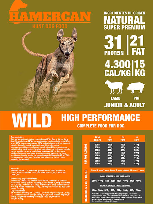 WILD HIGH PERFORMANCE